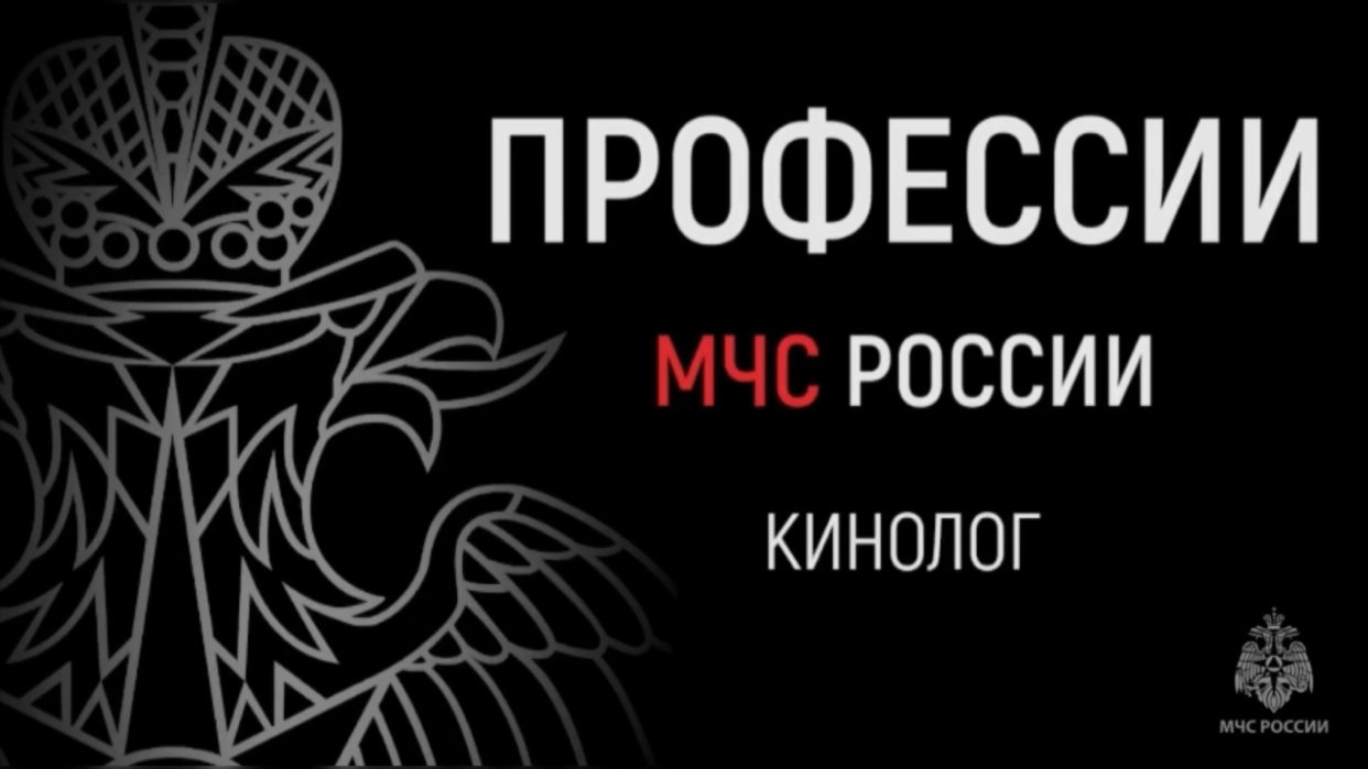Профессии МЧС | Кинолог МЧС России