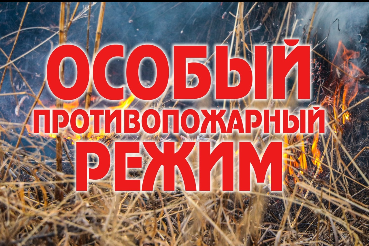 МЧС Дагестана напоминает - в республике действует особый противопожарный режим!
