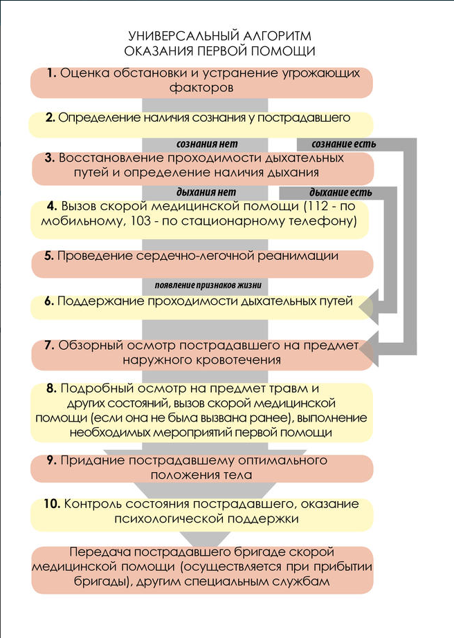 Универсальный алгоритм оказания первой помощи