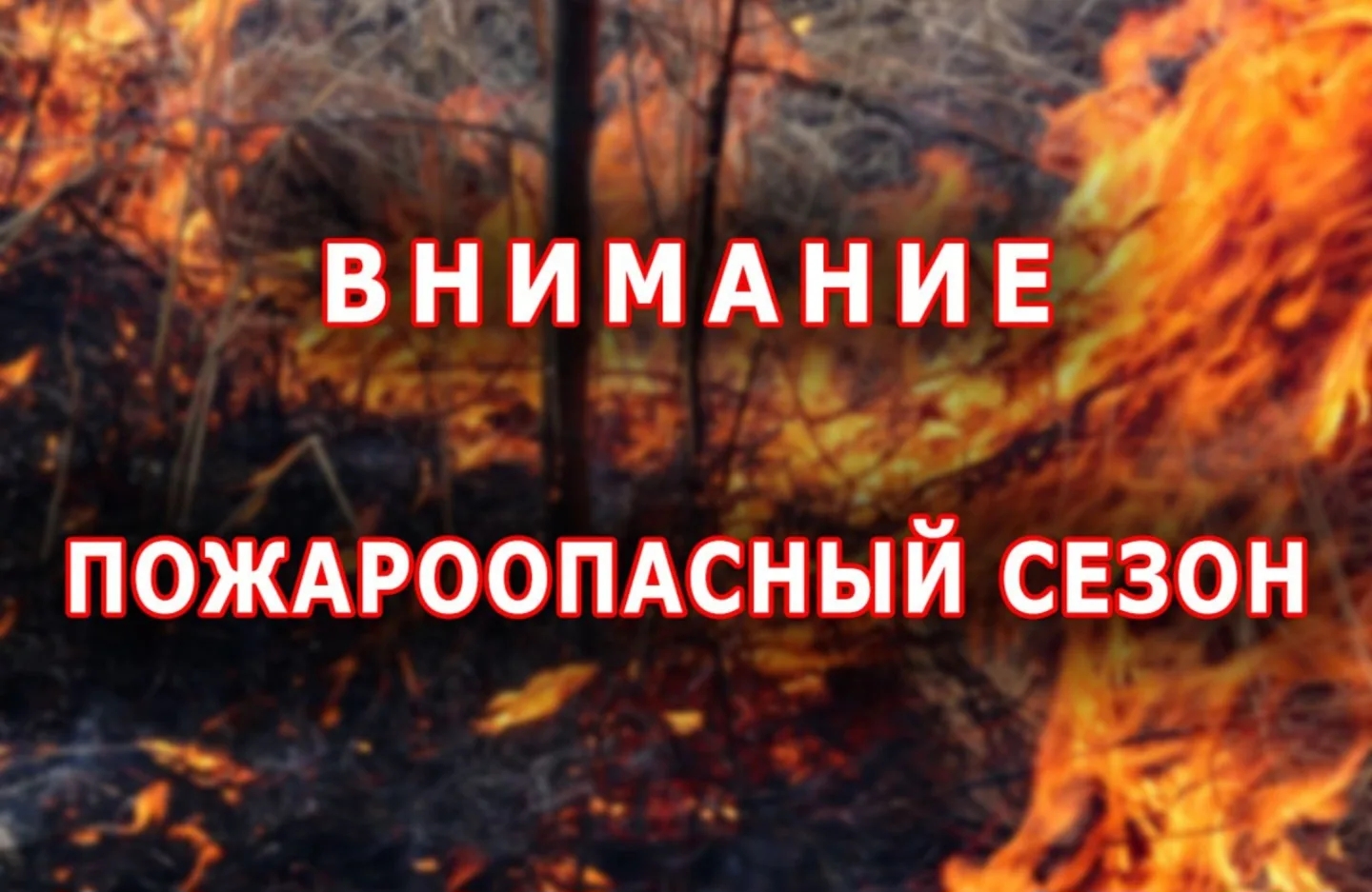 Пожароопасный сезон в Республике Дагестан установлен с 1 апреля 2026 года.