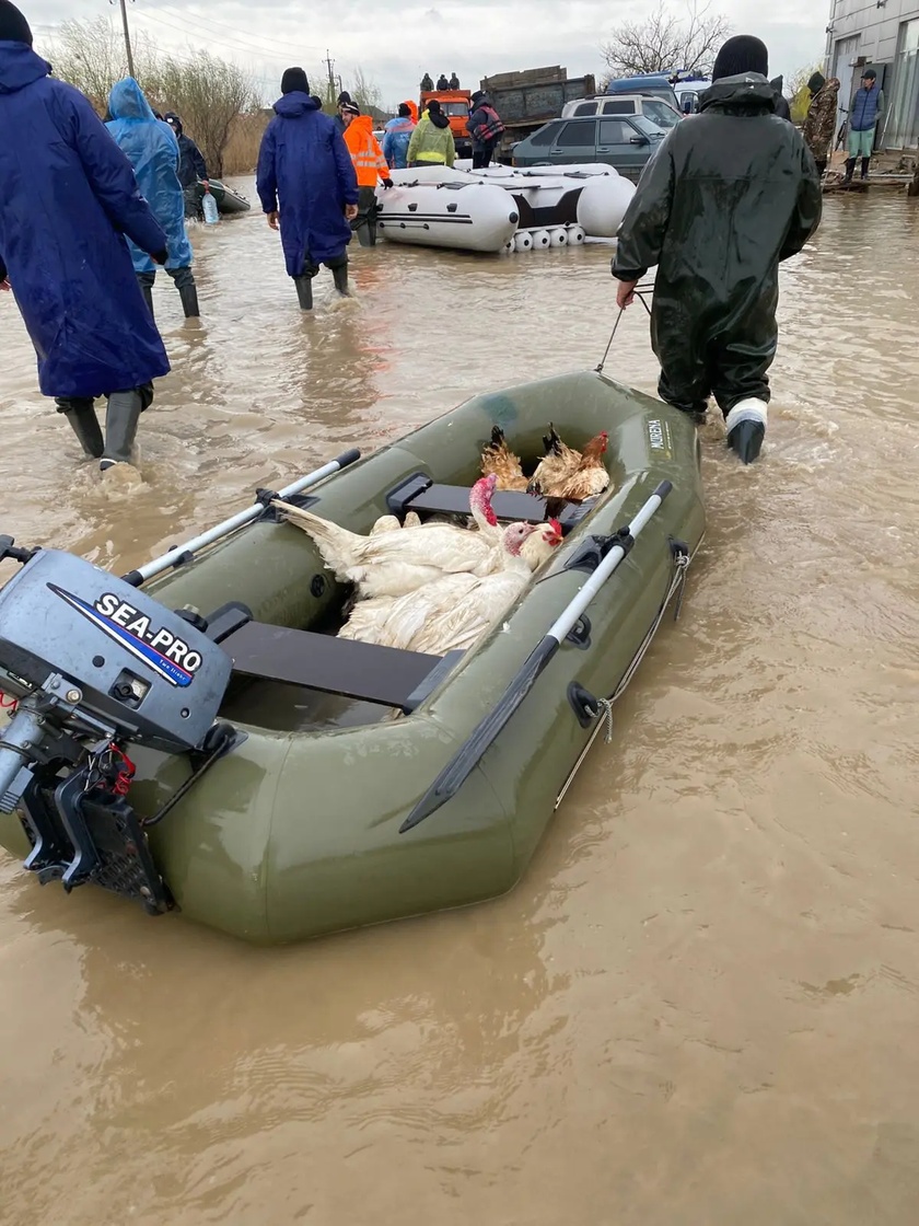 Спасателями МЧС Дагестана и ГУ МЧС России по РД проводится эвакуация жителей сел Тутлар, Адильотар Хасавюртовского района.
