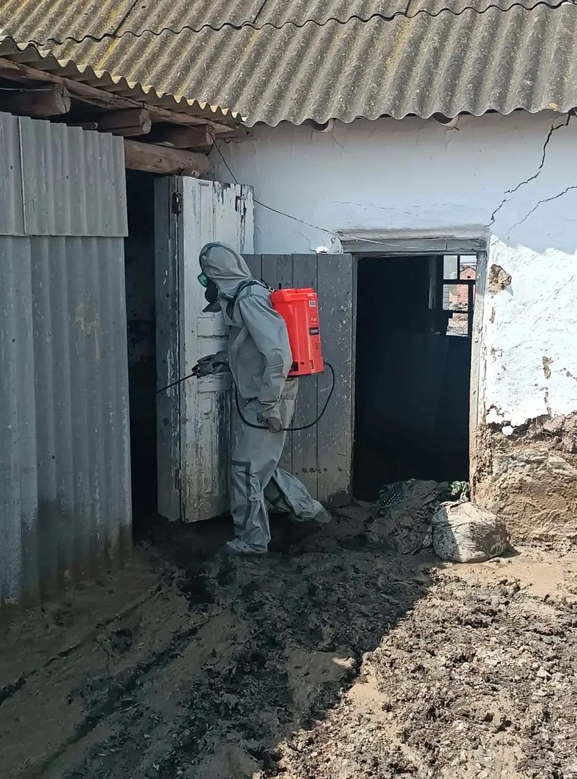 Спасатели МЧС Республики совместно со спасателями Тульского Спасательного центра продолжают непрерывную работу в пострадавших селах Хасавюртовского района.