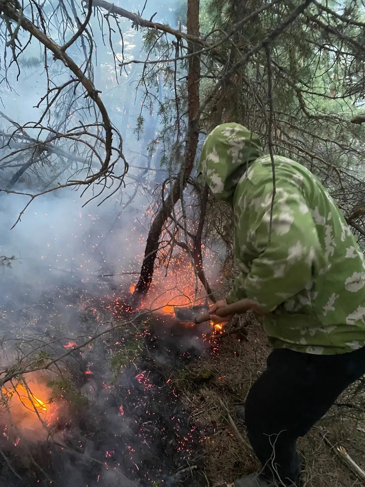 Лесной пожар в Гумбетовском районе: ход ликвидации