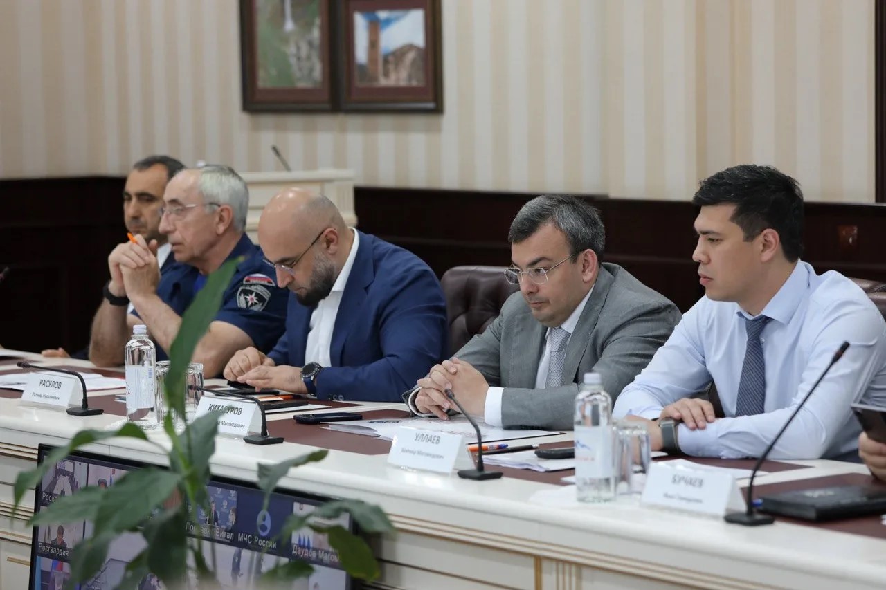 Еженедельное заседание в режиме видеоконференцсвязи под руководством Главы МЧС России Александра Куренкова